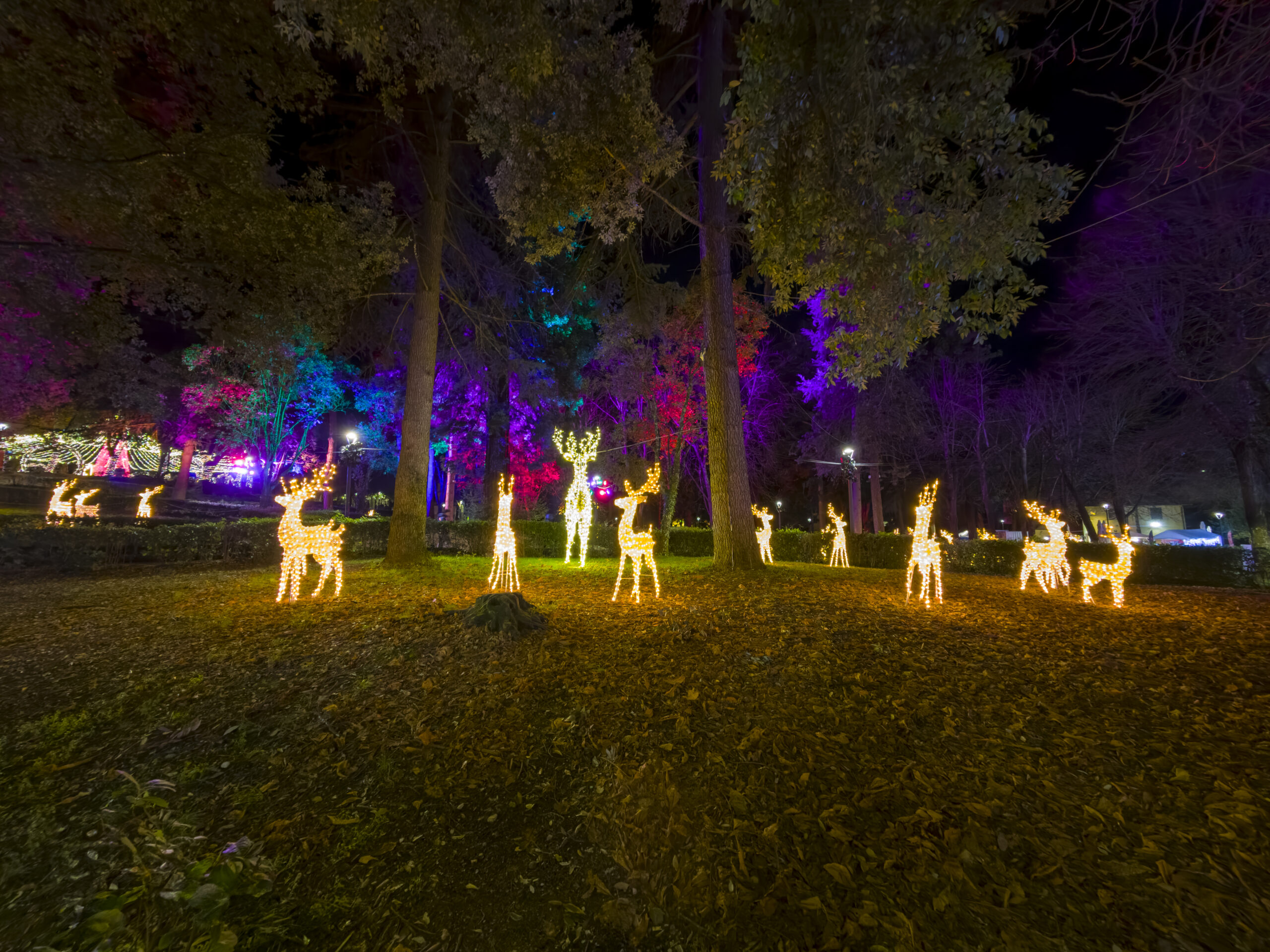 Arezzo Città del Natale Bosco Incantato 2024