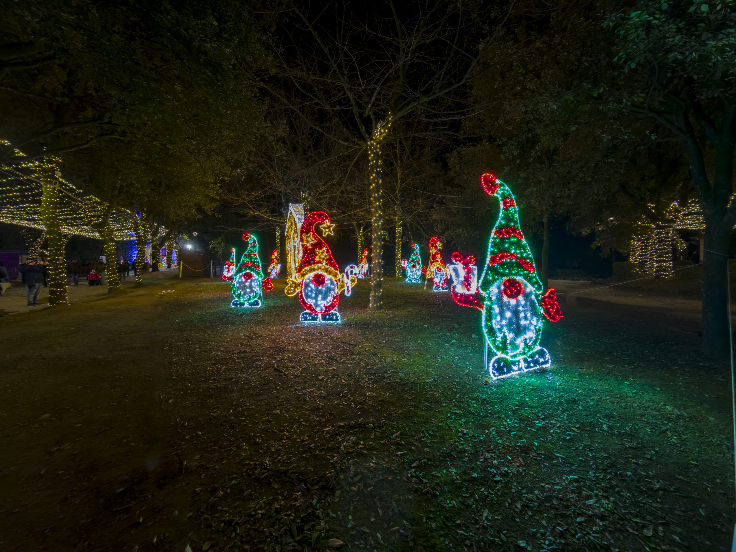 Arezzo Città del Natale Bosco Incantato 2024