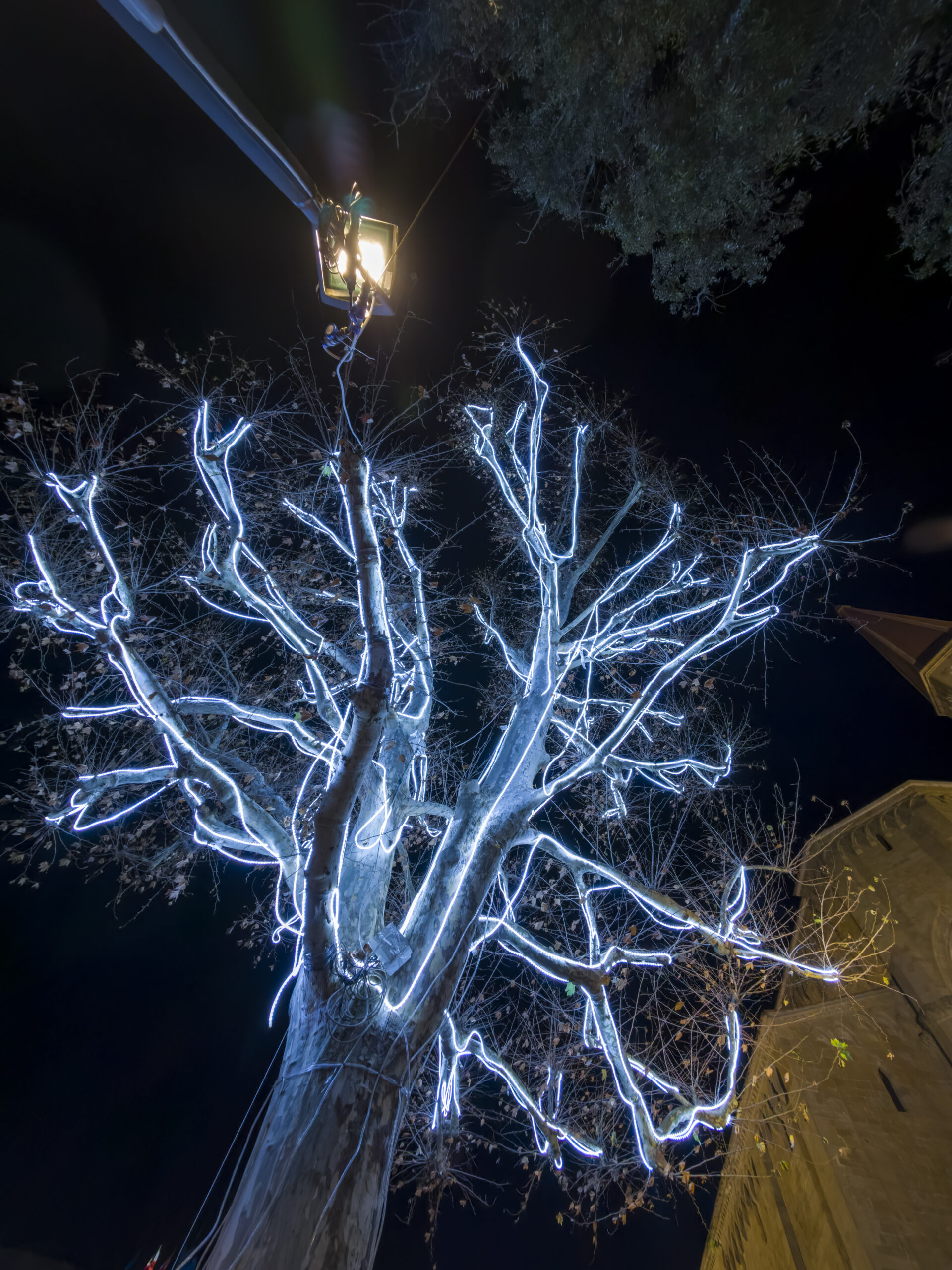 Arezzo Città del Natale Bosco Incantato 2024