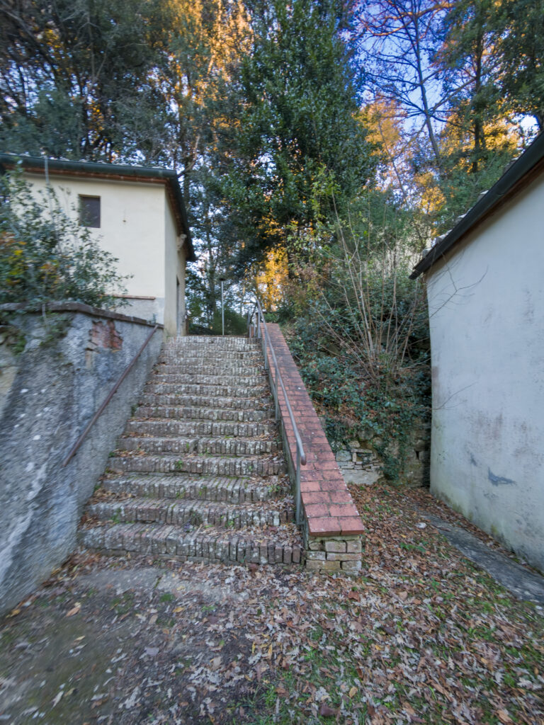 le cappelle nel bosco