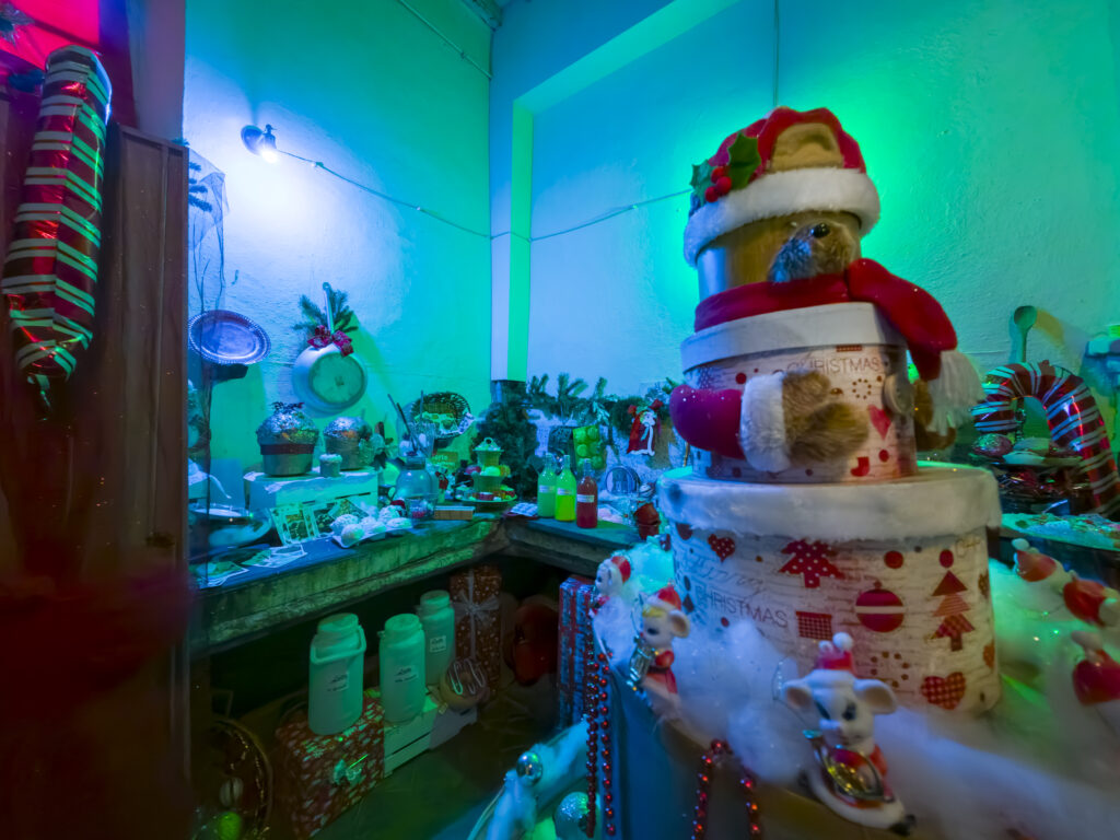 San Vivaldo la Casa di Babbo Natale