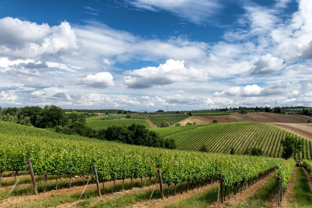 Strade del vino in Toscana